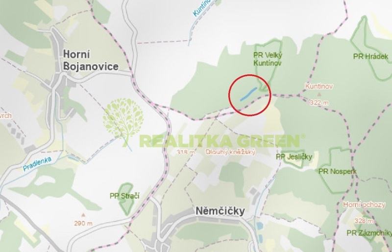 Lesní pozemek k.ú. Boleradice, okr. Břeclav, CP 4345 m2