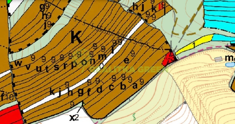 Lesní pozemek k.ú. Boleradice, okr. Břeclav, CP 4345 m2